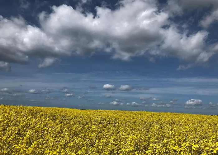 Nordlicht By Interhome * Steinbergkirche